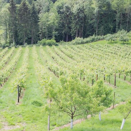 Buschenschank Ofnerpeter Sankt Stefan ob Stainz المظهر الخارجي الصورة